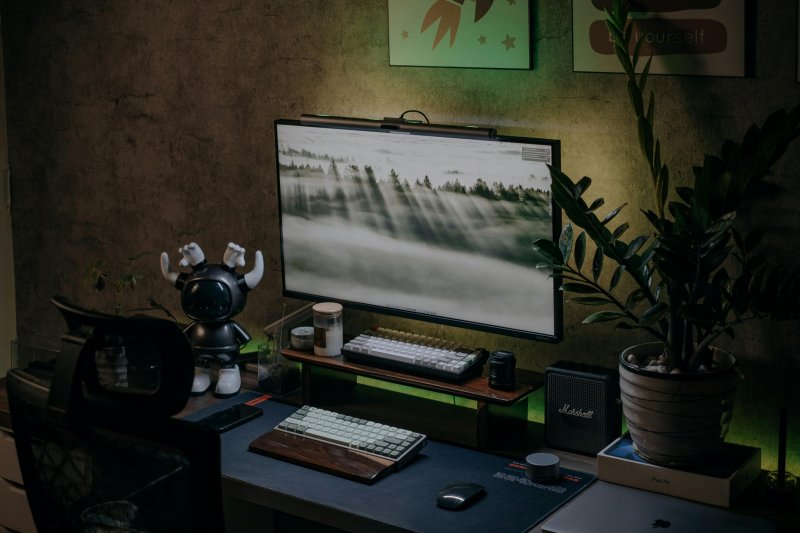 Zamioculca, una de las plantas de interior que necesita poca luz, en una oficina en casa junto al ordenador y la pantalla